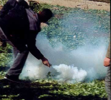 There was a scramble for the teargas cannisters as they spiraled in and many were thrown back over the wall.